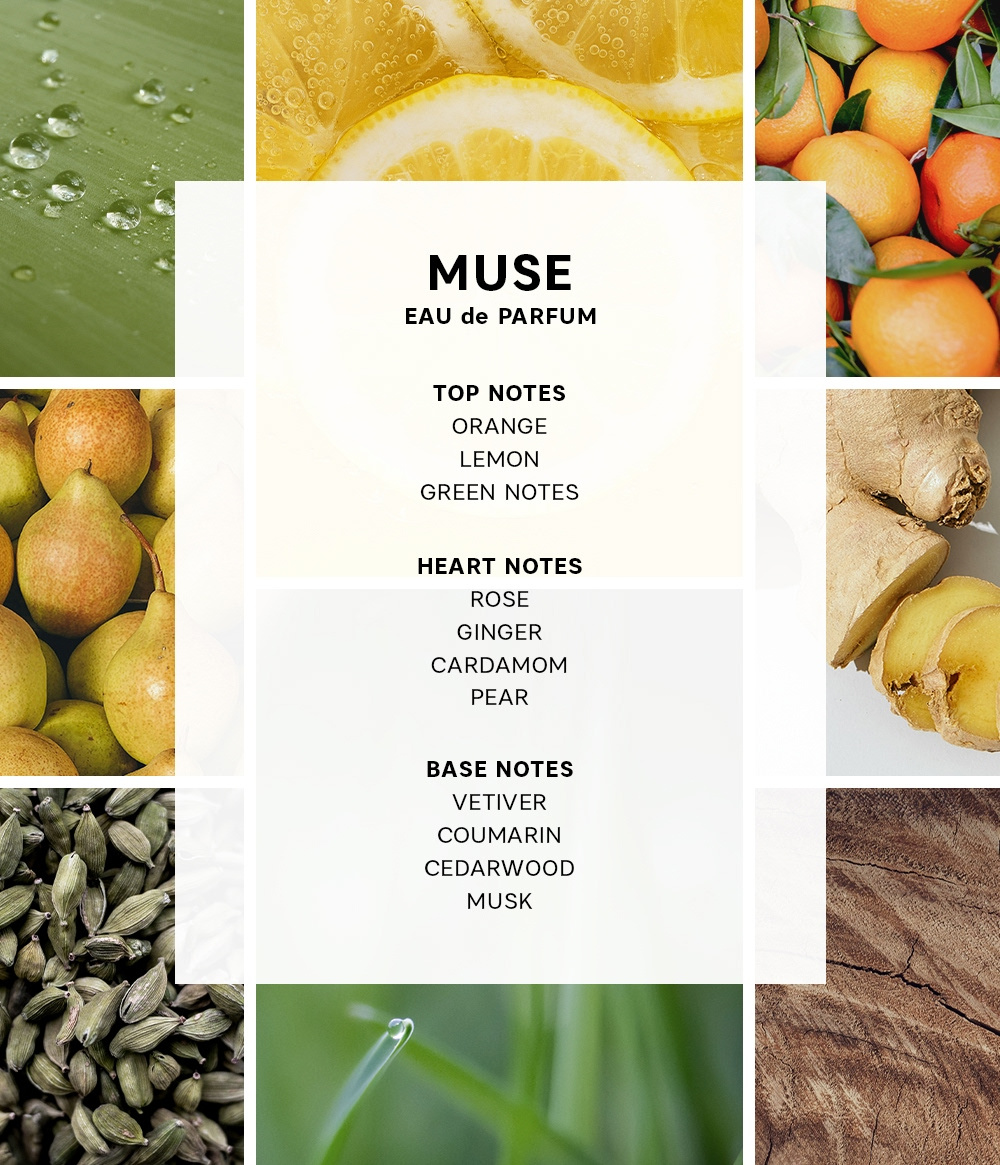 MINI TRAVEL COLLECTION